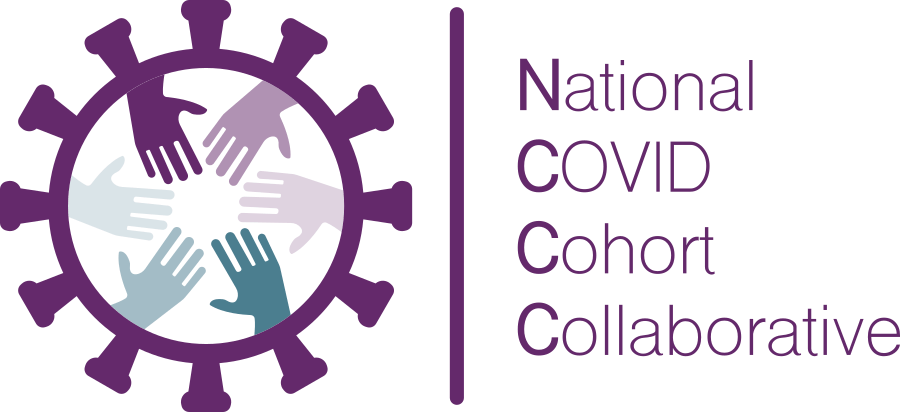 N3C logo