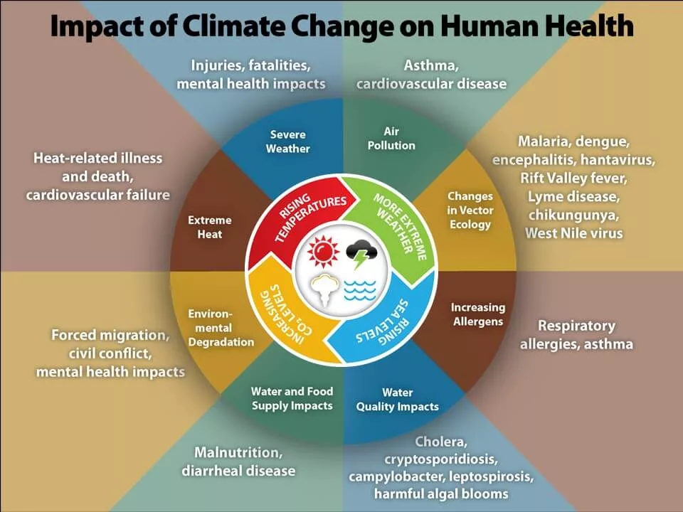 CDC climate change and health image