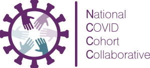 n3c_logo