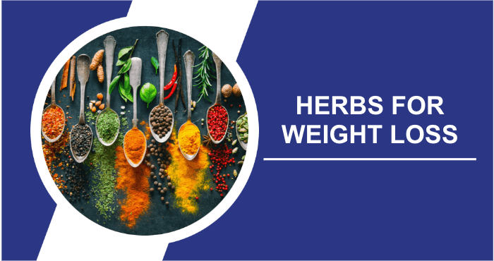 Best-herbs-for-weight-loss-image