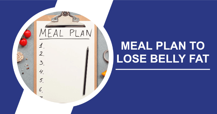 Healthy Meal Plan To Lose Belly Fat