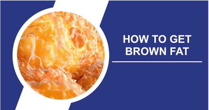 How to get brown fat title image