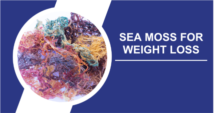 Sea-moss-for-weight-loss-title-image