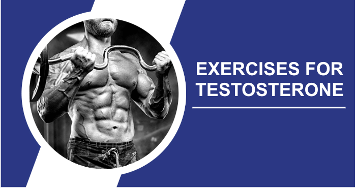 Testosterone exercises image