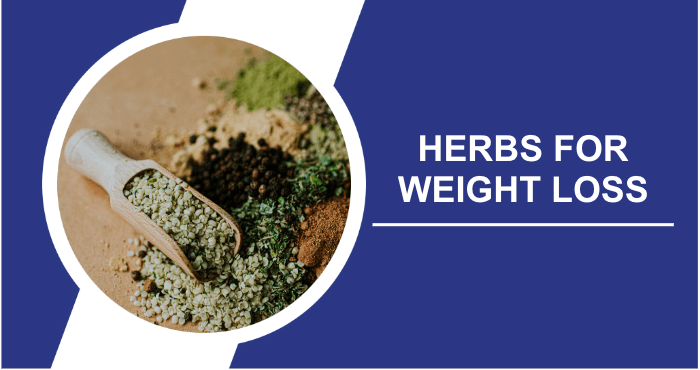 Best herbs for weight loss title image