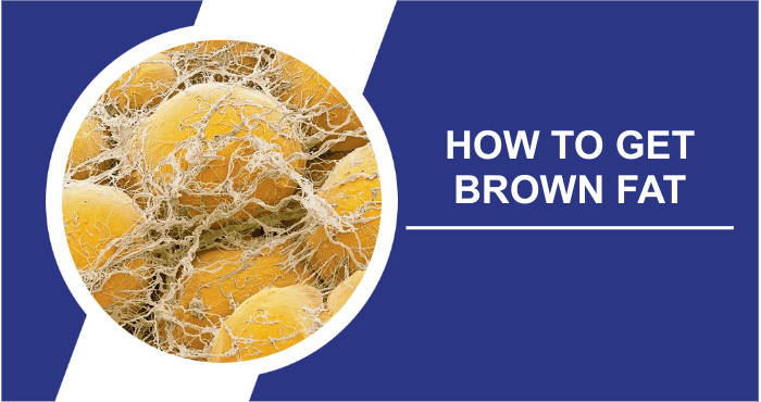 How to get brown fat image